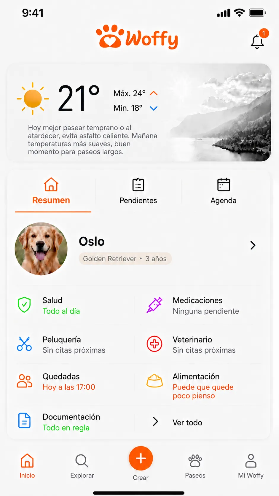 Pantalla real de Woffy con un solo perro: Oslo